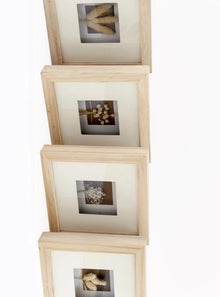  Assorted Dried Flowers In Frame