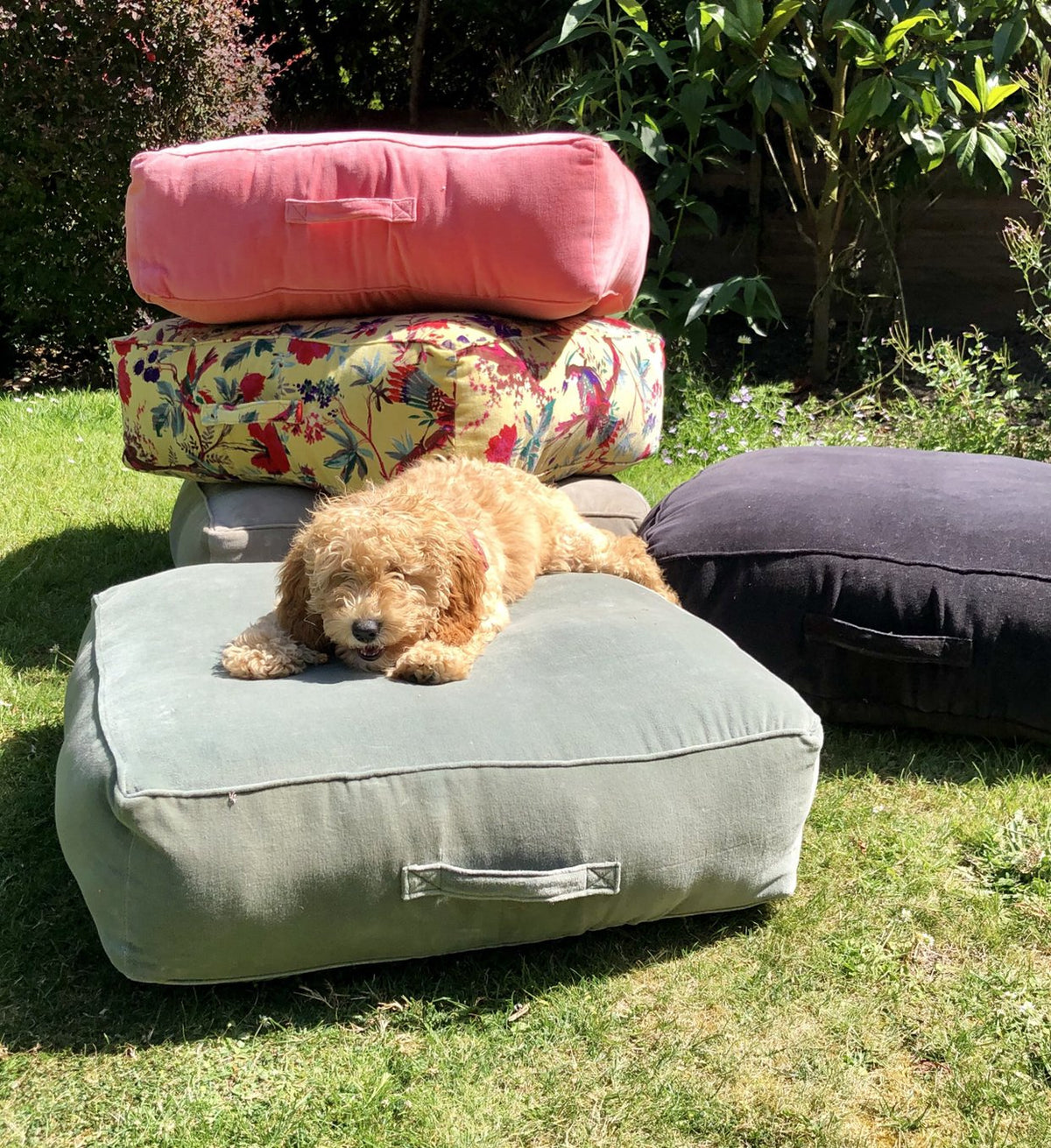 Garden Transformation for Under £100…Voila! (Dog Not Included)
