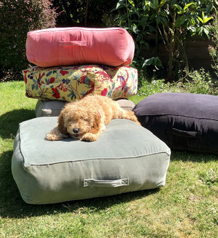  Garden Transformation for Under £100…Voila! (Dog Not Included)