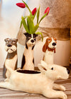 Top Dog Basset Vase