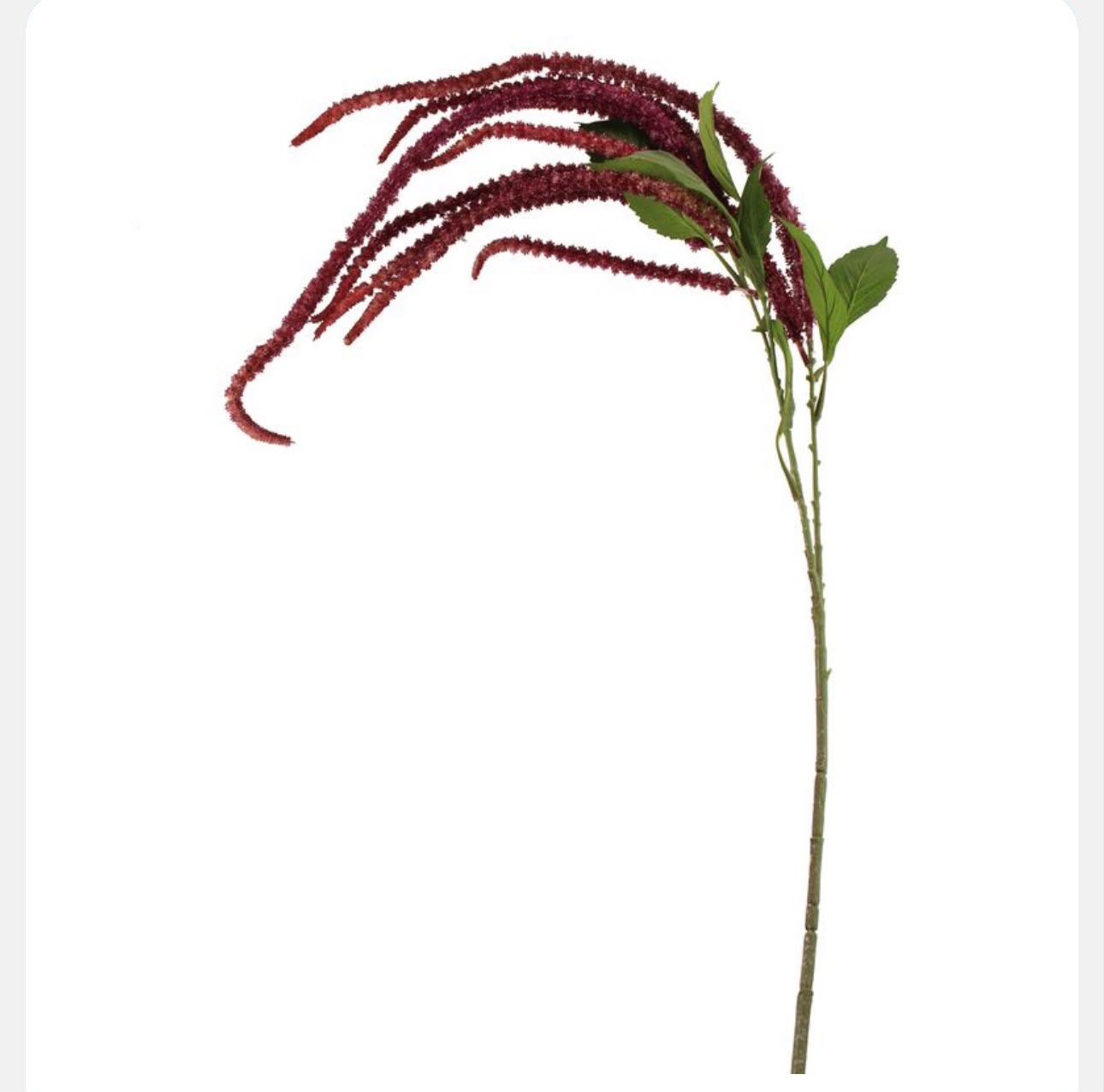 amaranthus spray mauve Artificial plant stem with red flowers and green leaves on a white background