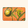 Bar of soap with botanical design and Kew Gardens logo on an orange background