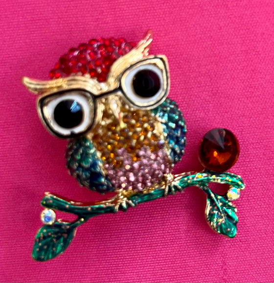Wise Owl Brooch / Scarf Pin Multi