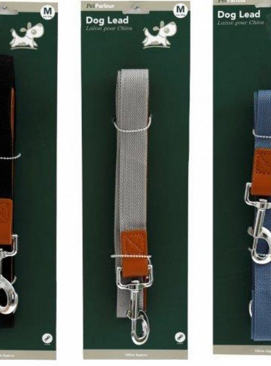 Deluxe Dog Lead Assorted