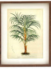 Palm Tree Wall Art