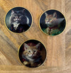 Glass Cat Drink Coasters