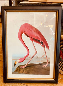  flamingo Large Birds Wall Art