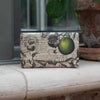 Rectangular soap with lemon and lime design on a stone surface