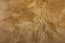  Long Wool Barley Sheepskin