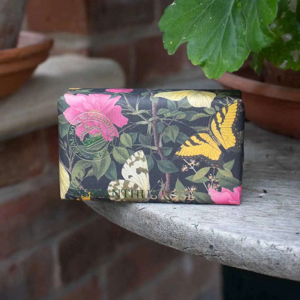 Floral and butterfly patterned wallet on a stone surface with plants in the background