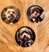 Single Fluffy Dog Glass Coasters