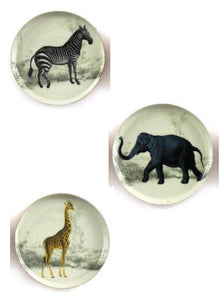  Single Safari Coasters