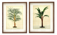  Palm Tree Wall Art