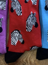 red Zebra Socks