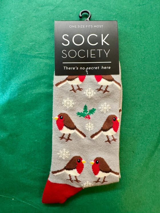 Sock Society sock with robin design on a green background