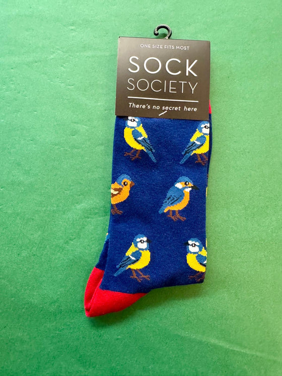 Blue socks with bird pattern and red toes on a green background, branded as Sock Society.