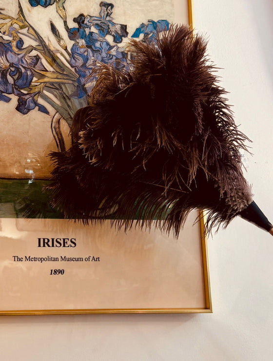 Ostrich Feather Duster with Waxed Beech Wood Handle 110 cm