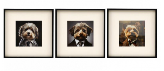 Fluffy Dog  Framed Wall Art