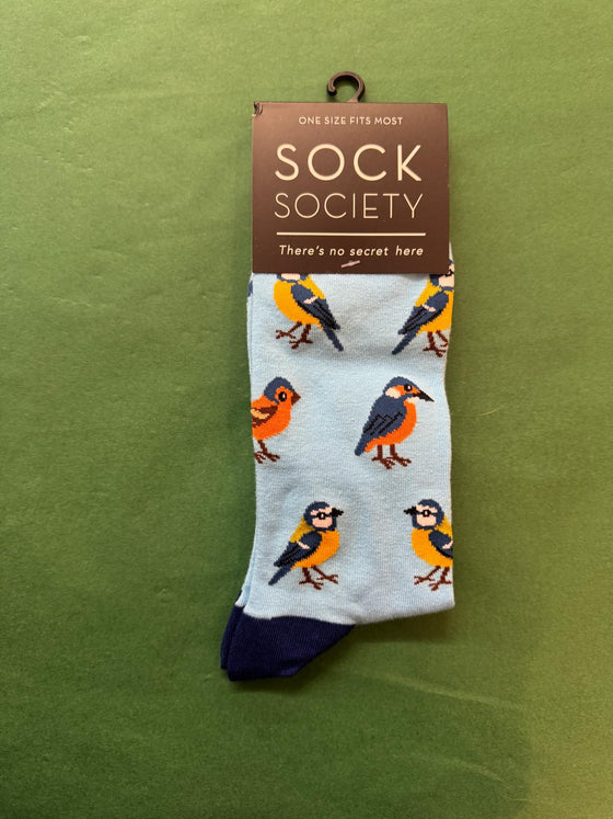 Sock Society bird-patterned sock on a green background