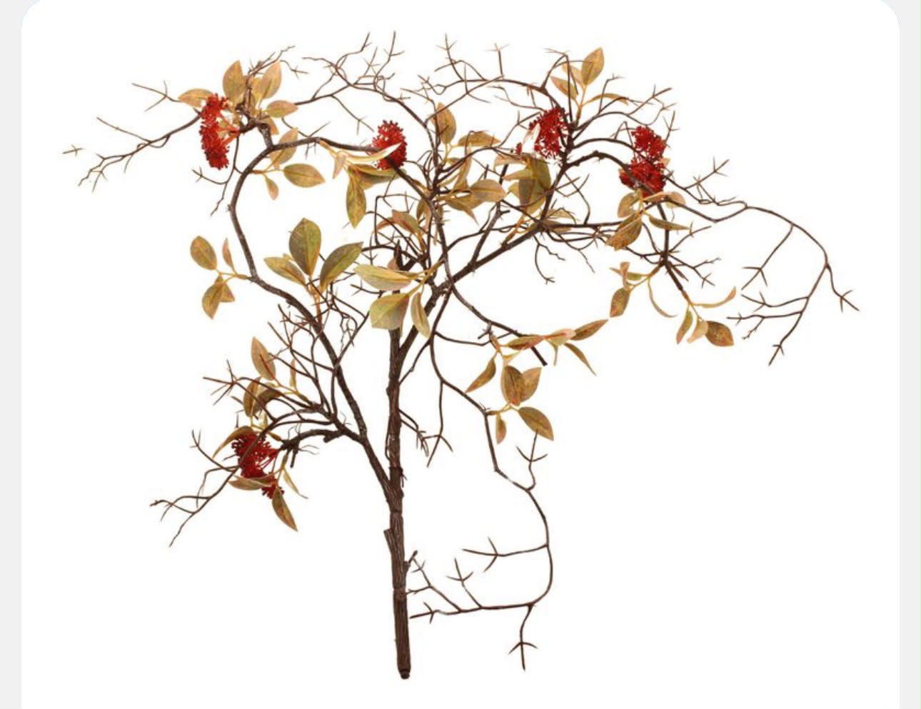 Decorative branch with gold leaves and red berries on a white background