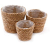 Large Rattan Planter