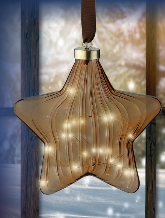Micro 15 Led Star Brown