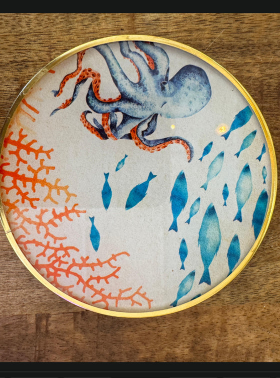 fish and octopus Ocean Coasters