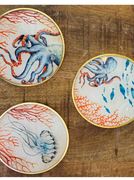 Ocean Coasters