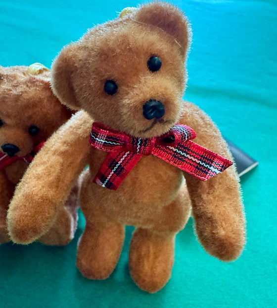 Hanging Brown Bear
