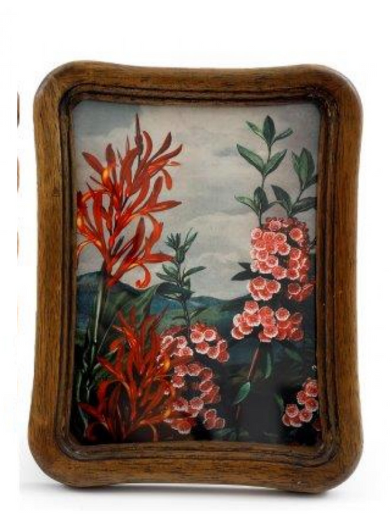 Gold Antique Photo Frame 8x10