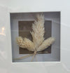 Assorted Dried Flowers In Frame