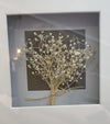 Assorted Dried Flowers In Frame