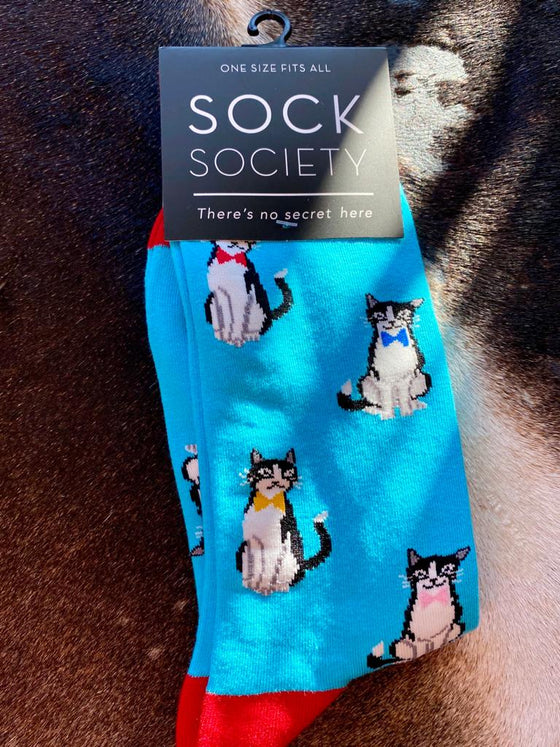 blue Cat Socks