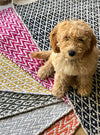 Jute & Cotton Rugs Small | Rugs