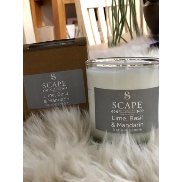 Scape Interiors Lime, Basil & Mandarin Scented Vegan Candle | 1 Wick
