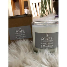  Scape Interiors Lime, Basil & Mandarin Scented Vegan Candle | 1 Wick