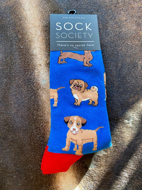 blue Dog Socks