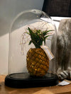 Glass Dome | Cloche Glass pineapple