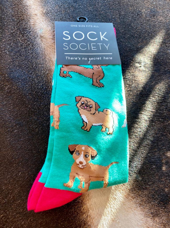 green Dog Socks